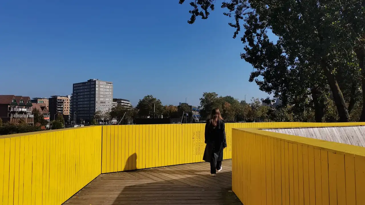 mm影院使用注意事项与选择建议