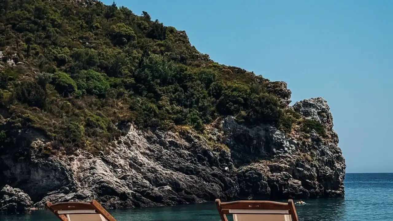 关于美女999免费网视频的使用指南与常见问题解析