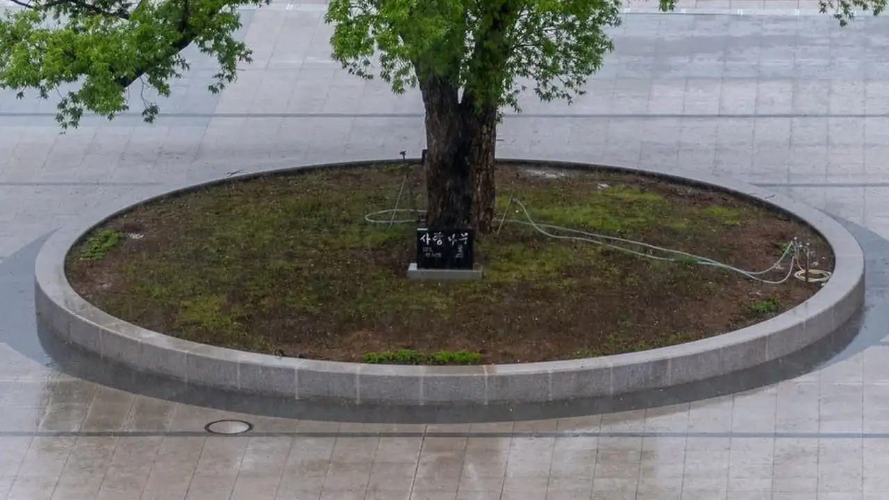 方家瑜头像