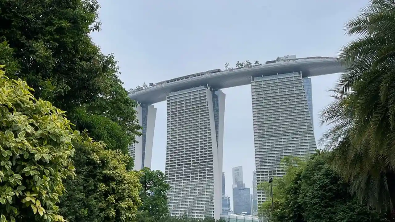 陈慧敏头像